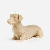 Dachshund candle (Brown)