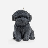 Cavoodle candle (Brown)