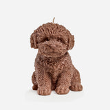 Cavoodle candle (Brown)