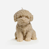 Cavoodle candle (Brown)