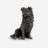 Border Collie Candle (Black)