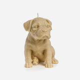 Boxer Dog Candle (White)