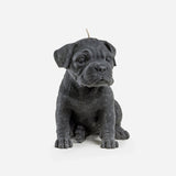 Boxer Dog Candle (White)