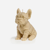 French Bulldog Candle (Blonde)