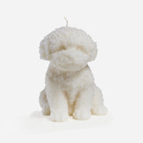 Cavoodle candle (White)