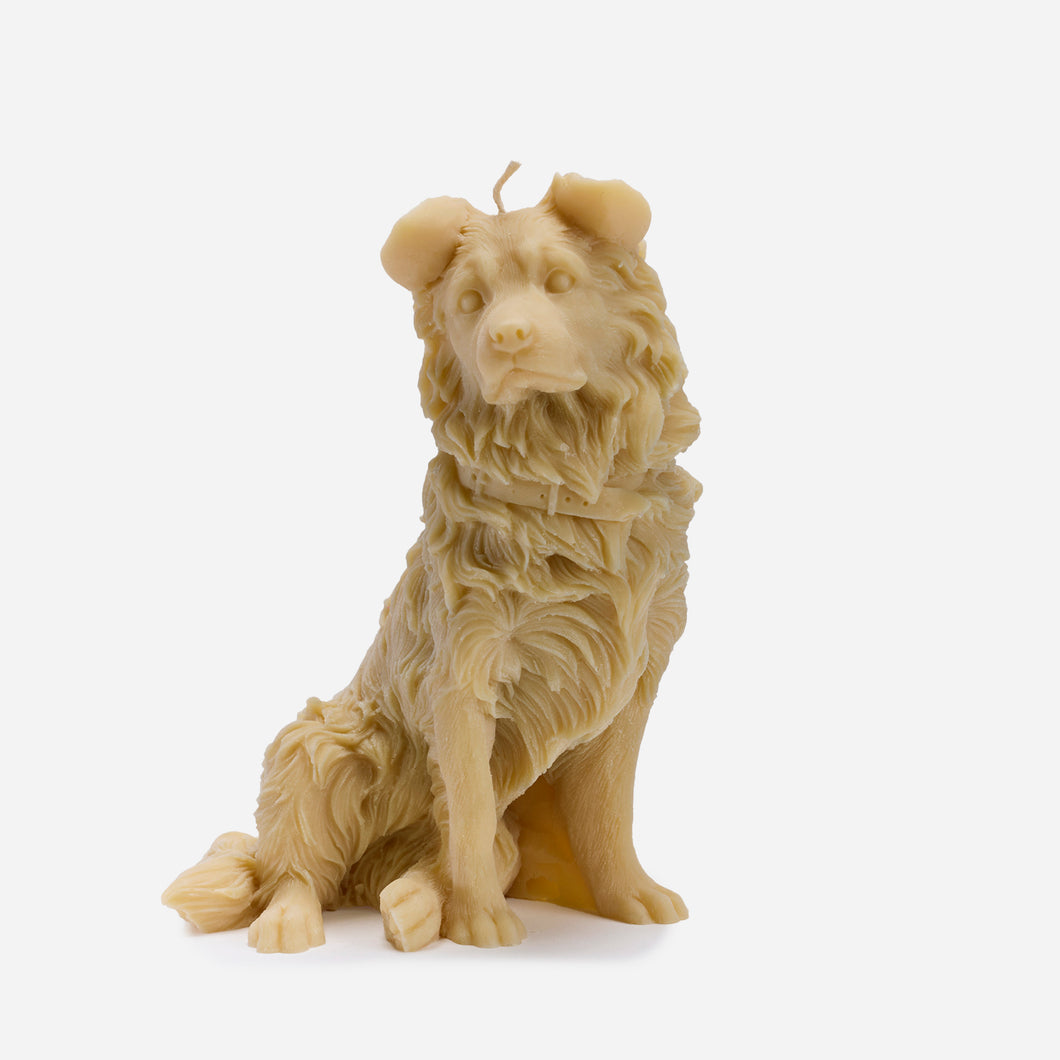 Border Collie Candle (Blonde)