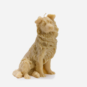 Border Collie Candle (Brown)