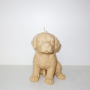 Labrador Candle (White)