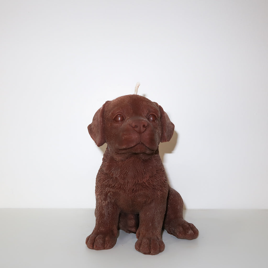 Labrador Candle (Chocolate)