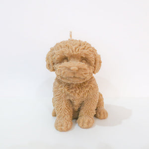 Cavoodle candle (Terracotta)