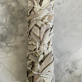 Xsanthi - Large White Sage Smudge Stick
