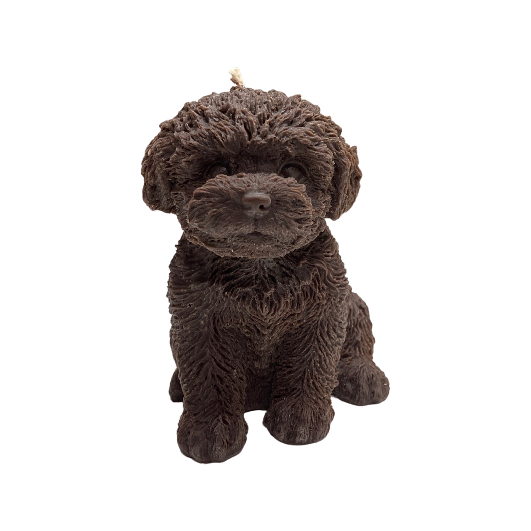 Cavoodle candle (Dark Chocolate)